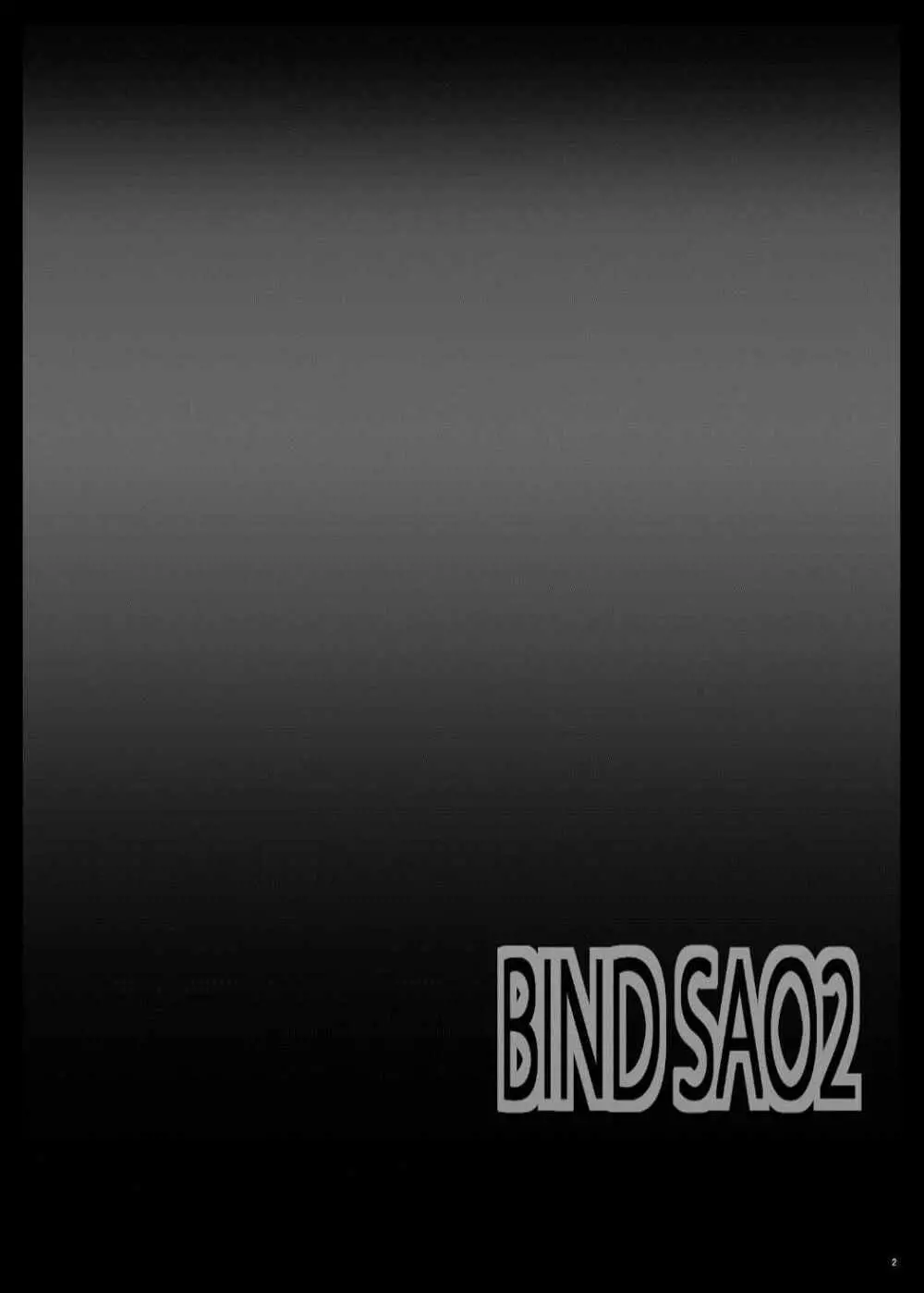 Bind SAO 2 - page3