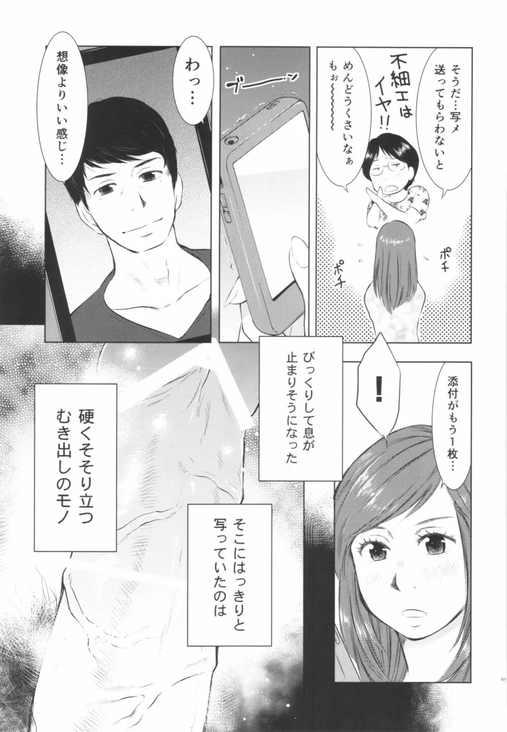 人妻図鑑3 - page67