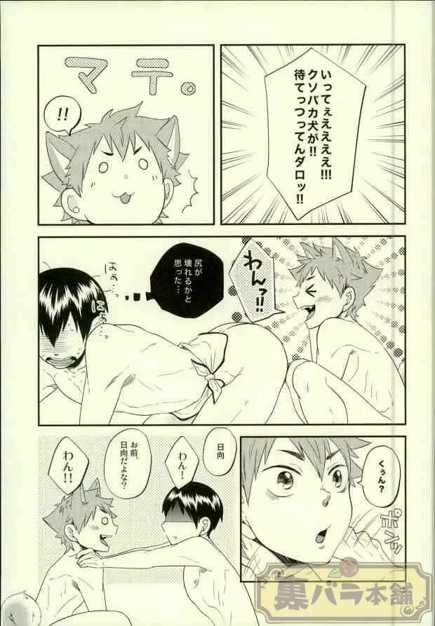 俺の彼氏が犬に取り憑かれまして。 - page14