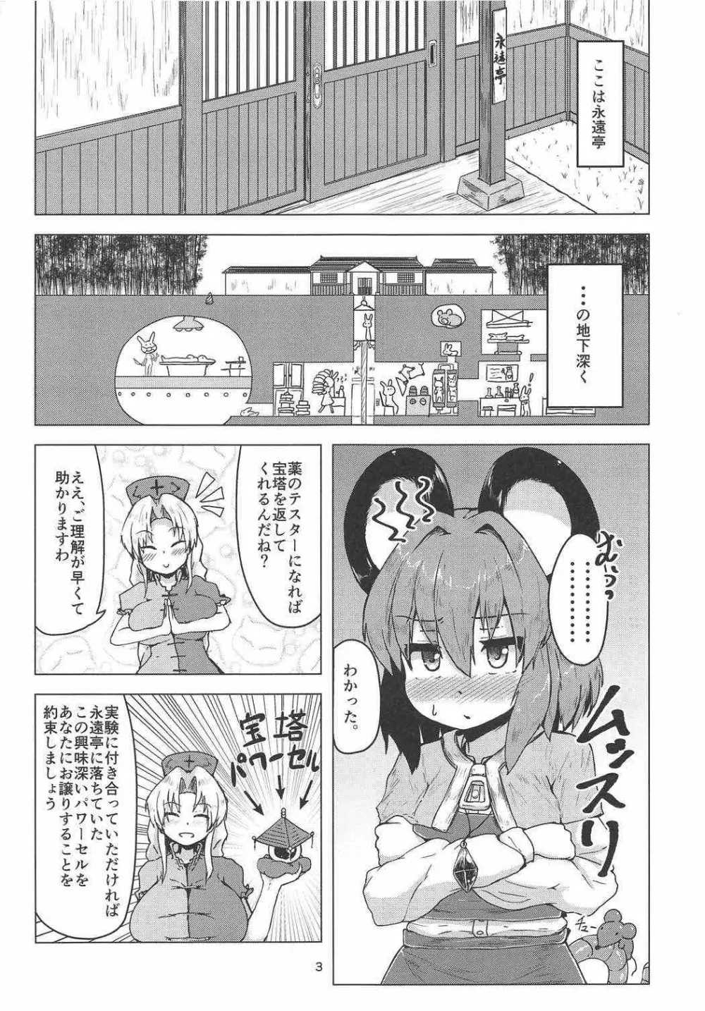 実験用ナズーリン - page2