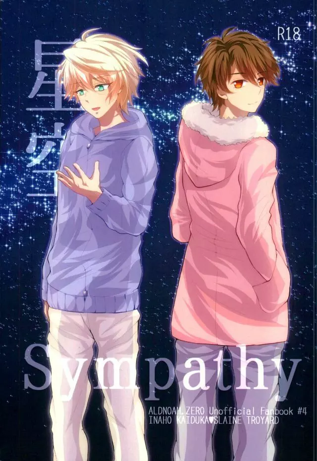 星空Sympathy