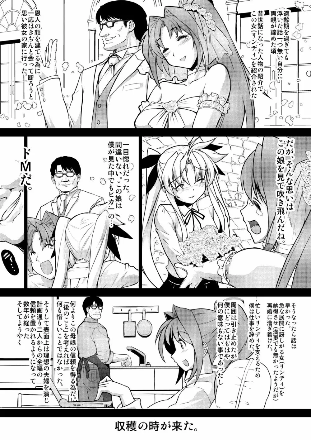 疲れた貴方を癒やしてくれるリリカル魔法少女総集編+α - page36