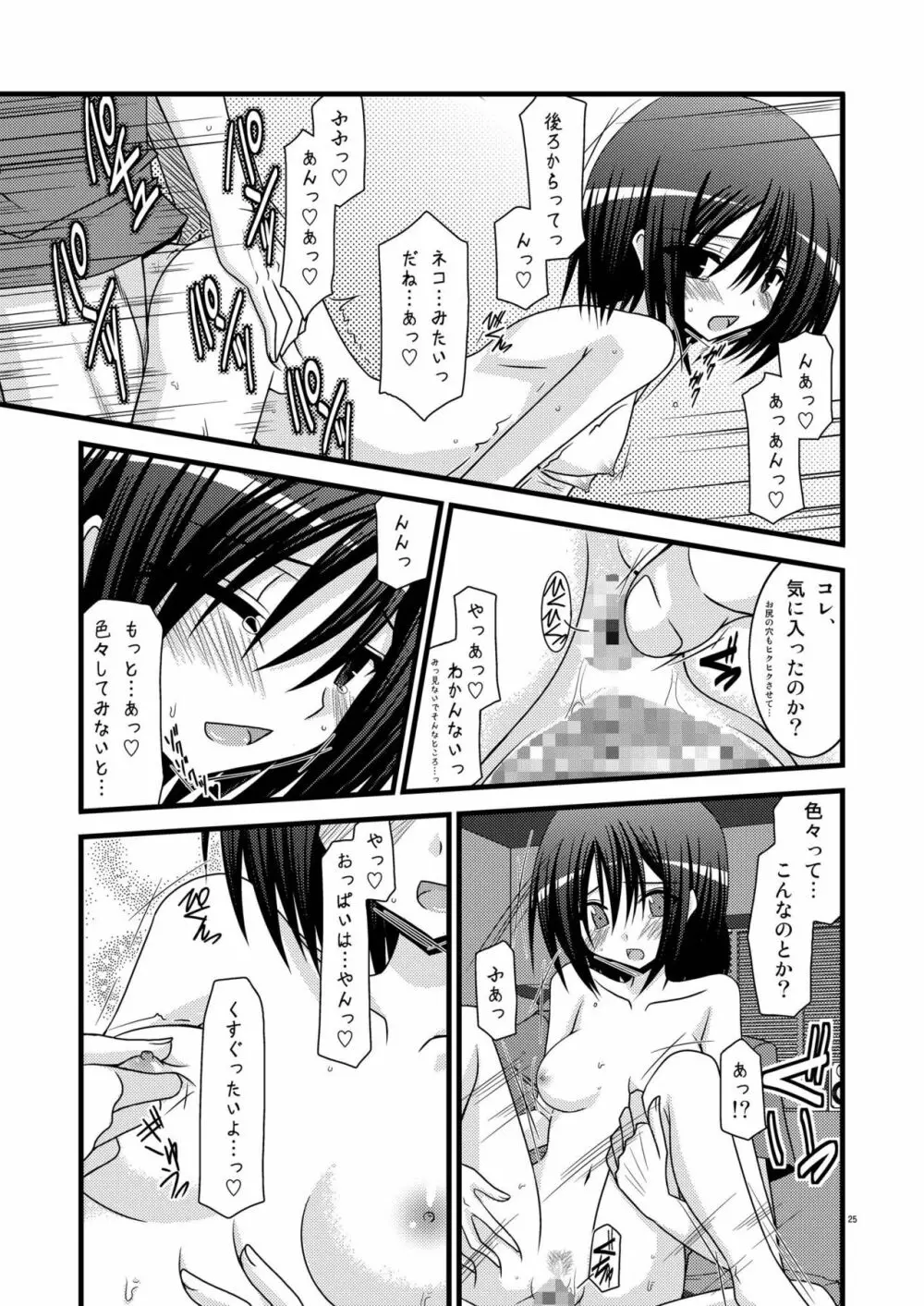 G・Y Ⅵ -瀬戸の花嫁SP4- - page25