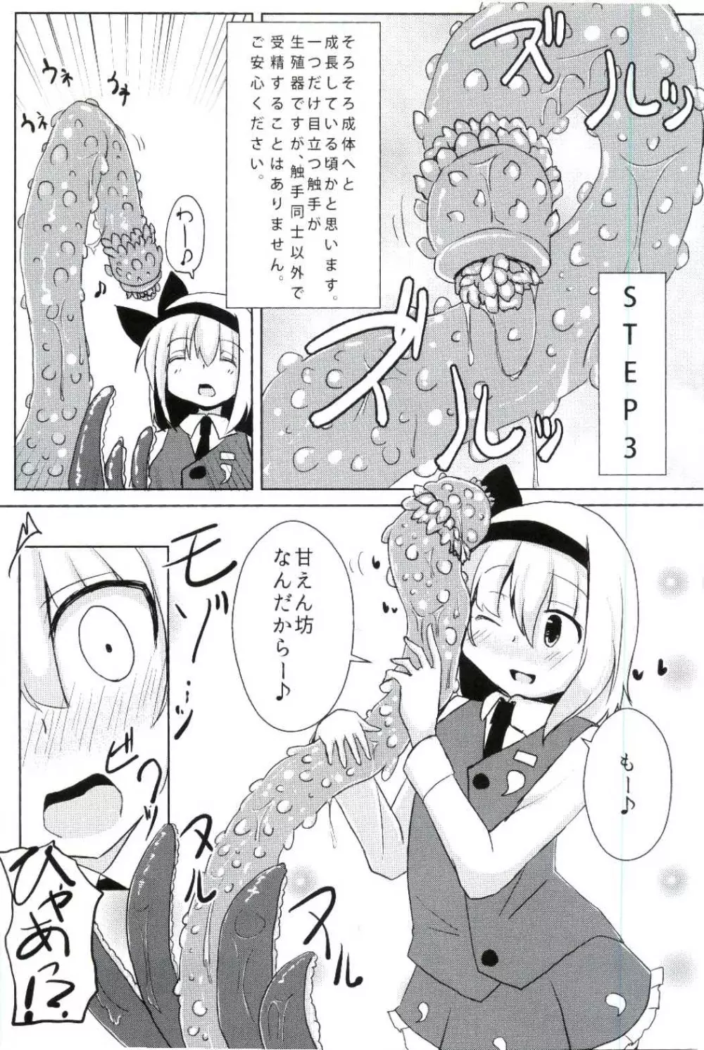 姦妖触物 妖夢の姦擦日記 - page12