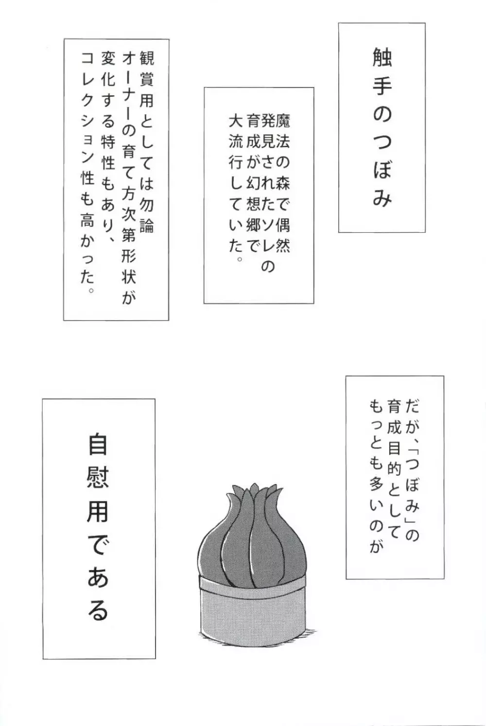 姦妖触物 妖夢の姦擦日記 - page2