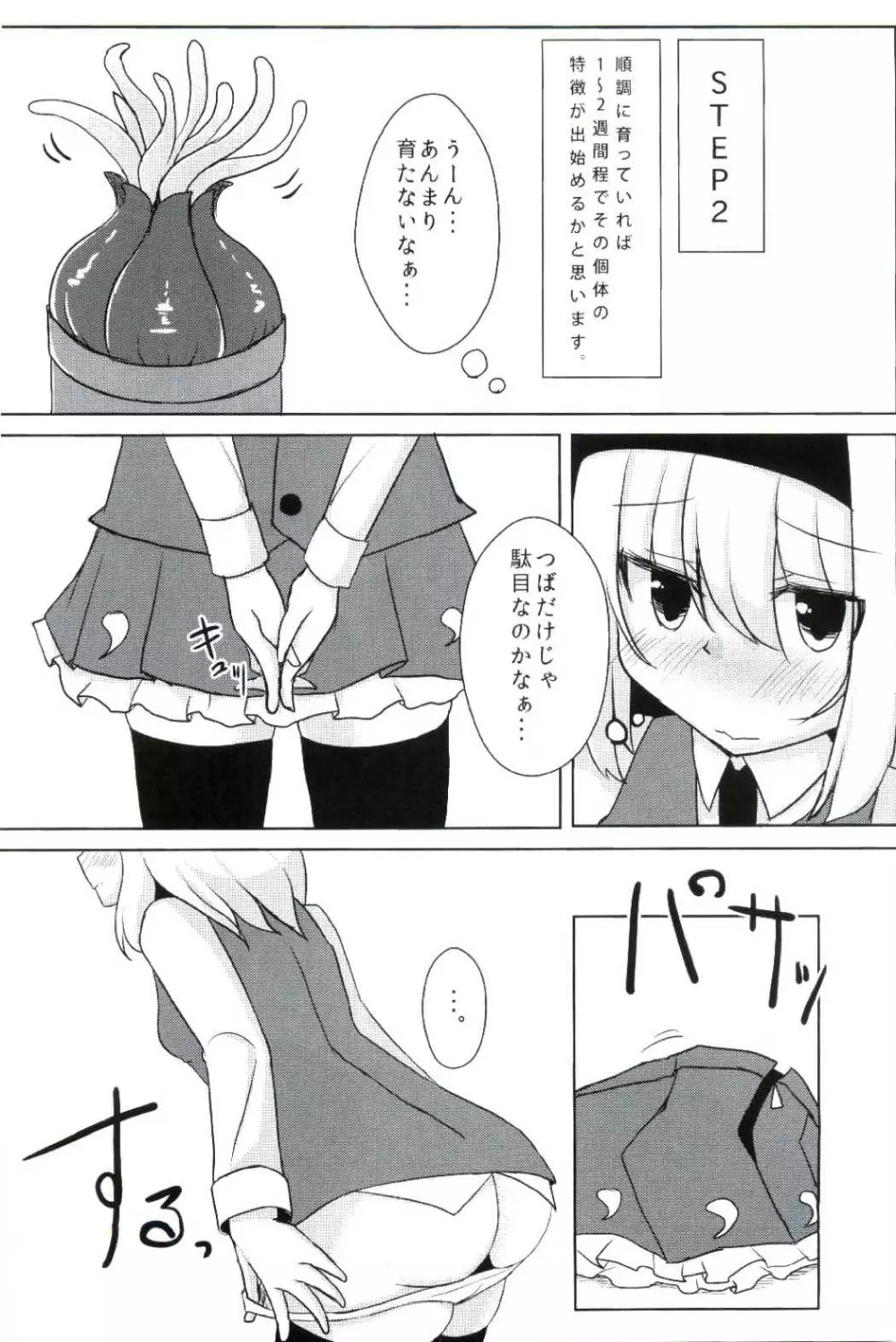 姦妖触物 妖夢の姦擦日記 - page6