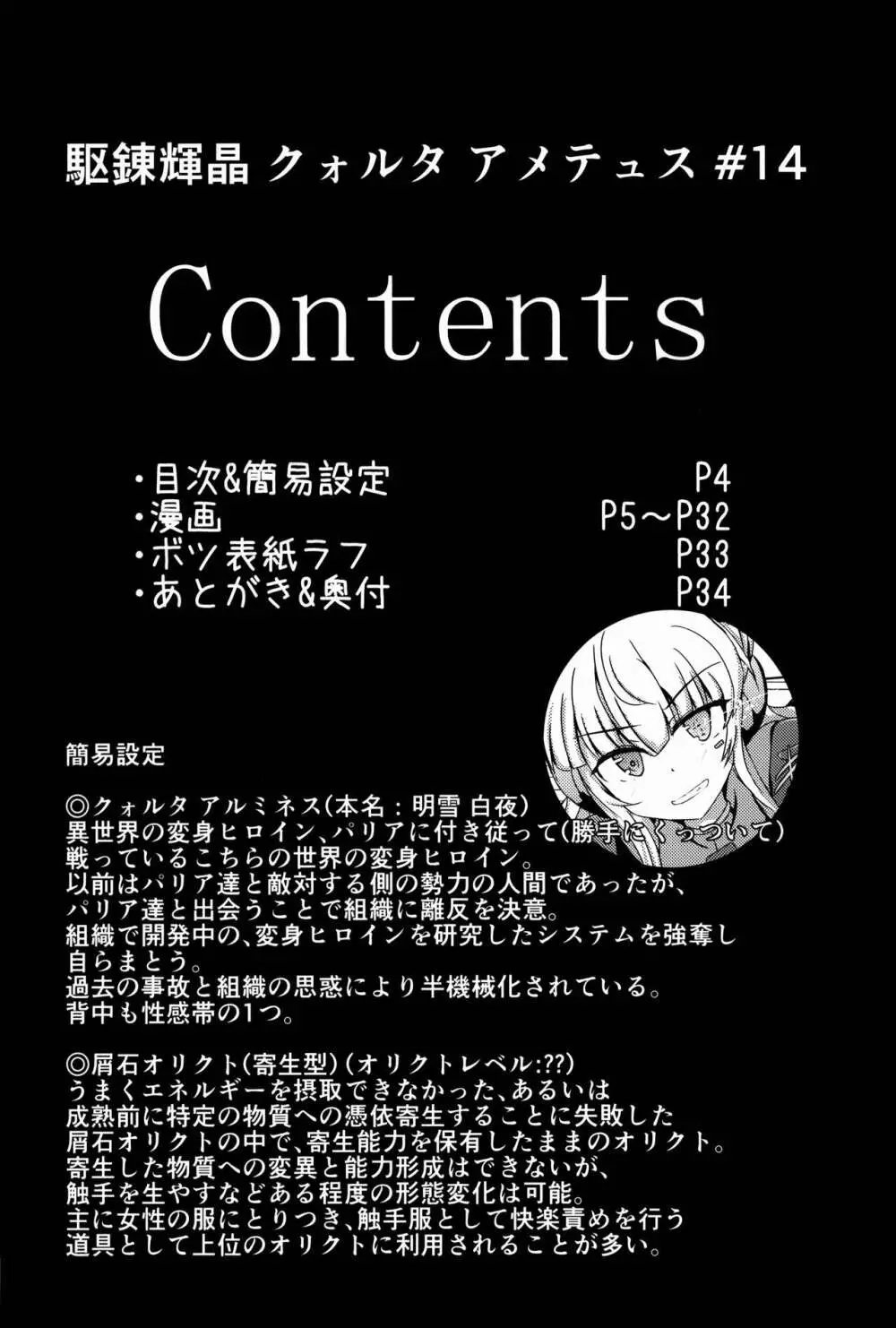 駆錬輝晶 クォルタ アメテュス #14 - page4