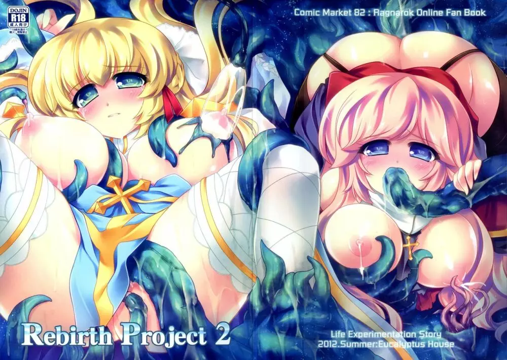 Rebirth Project 2