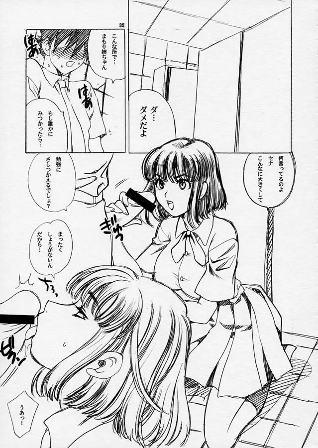 ゆきやなぎの本10 ワルキューレの密かな楽しみ - page34