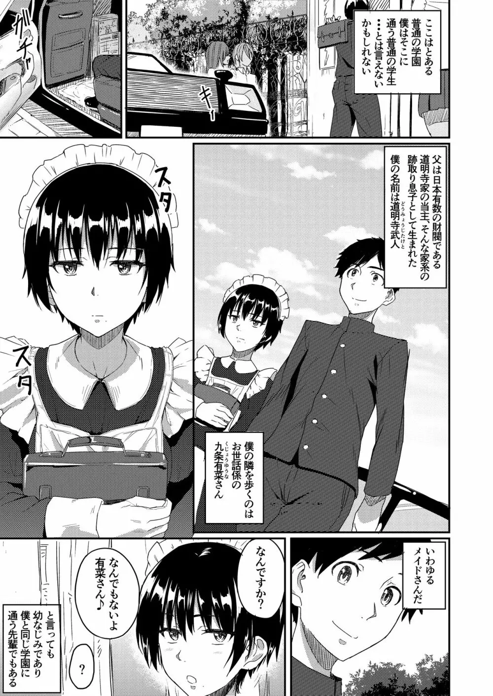 メイドで姉で幼なじみでそれから・・・ - page2