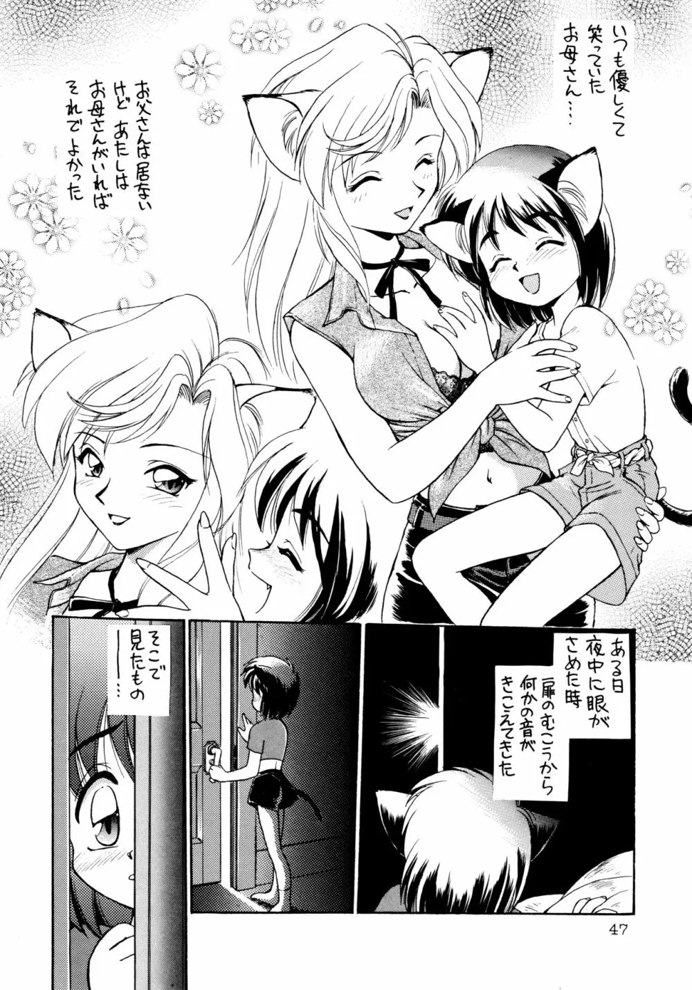 噂のねこ集会 - page47