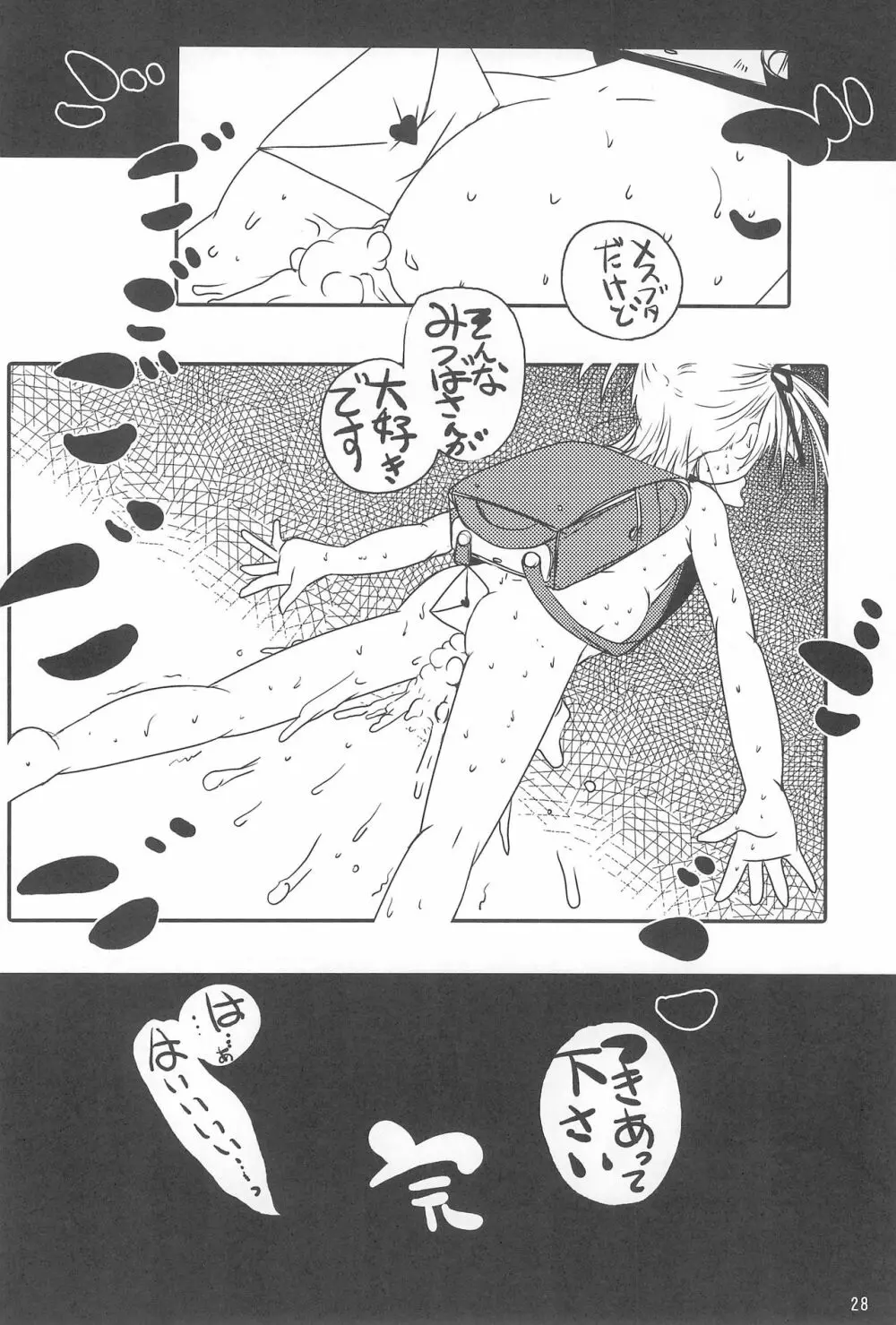 ミツバチンフォマニアクス - page30