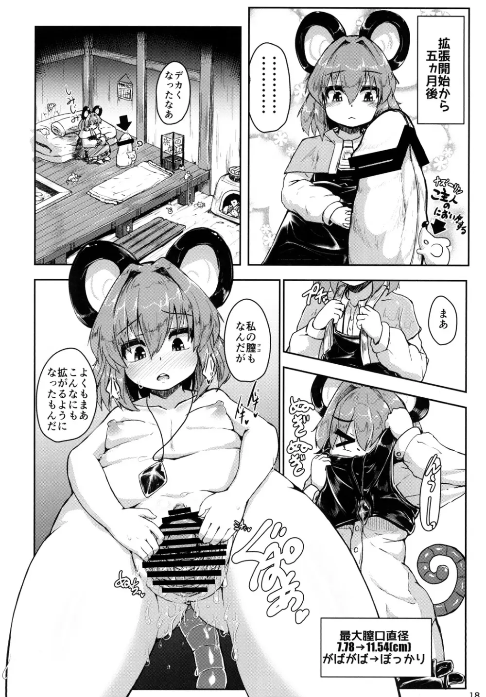 ナズーリンがごしゅじんの為に秘密の特訓をする話 - page17