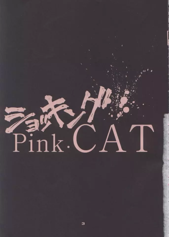 ショッキングPINK・CAT - page3