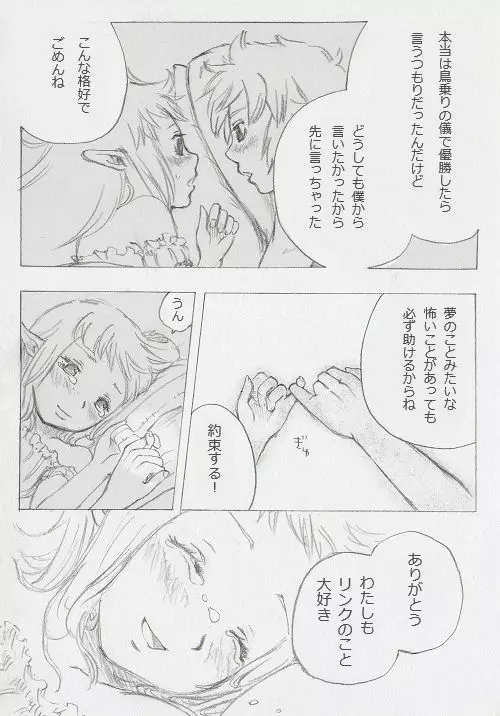 リンクとゼルダの… - page11