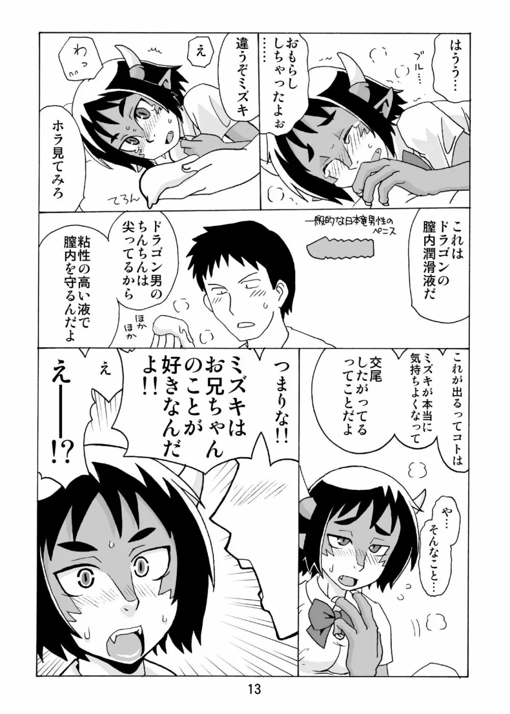 この際ドラゴンなら妹でもかまわねぇ。 - page12