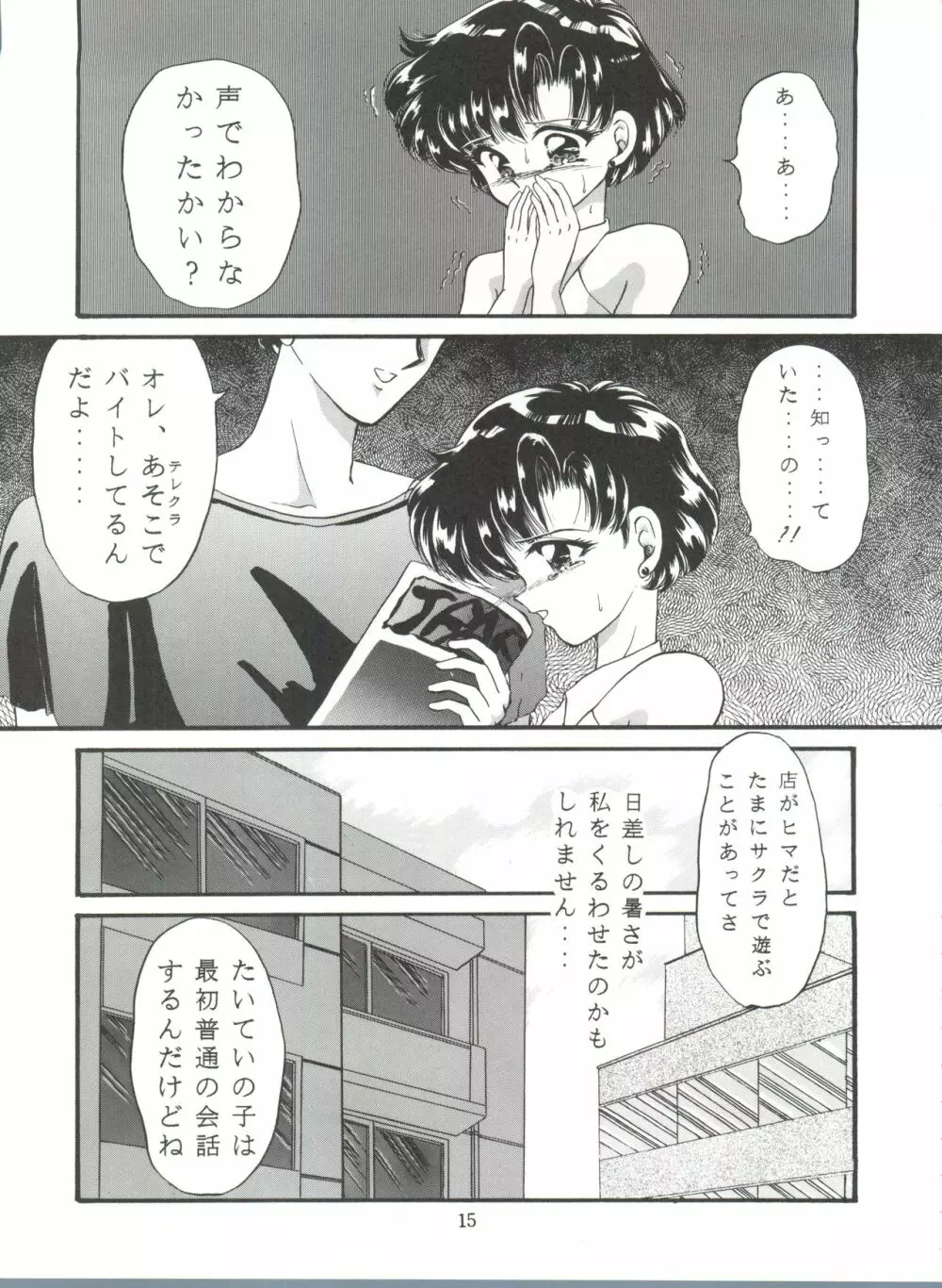 月夜のたわむれ Vol.7 - page15