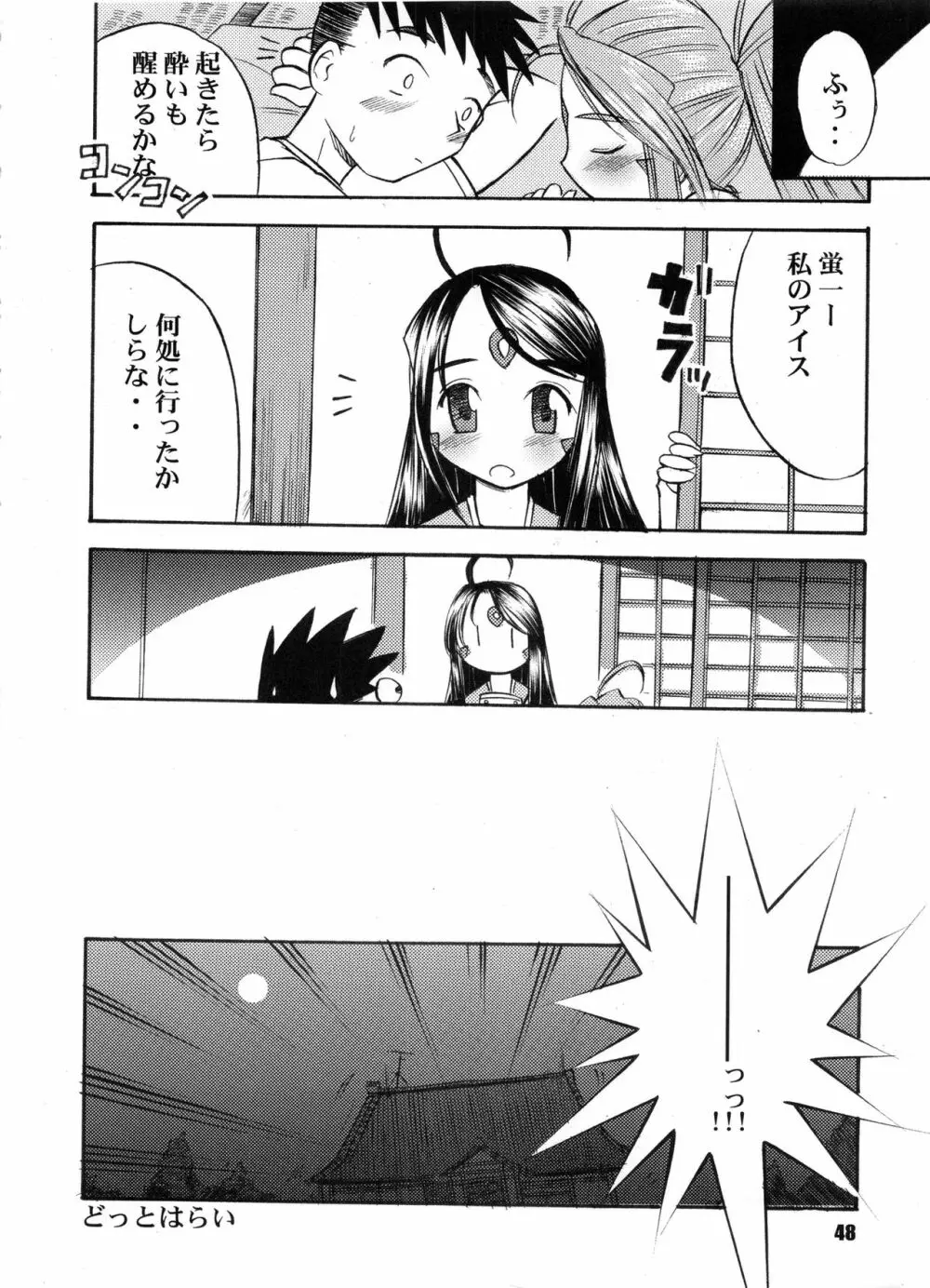 Bランチ盛り合わせ - page47