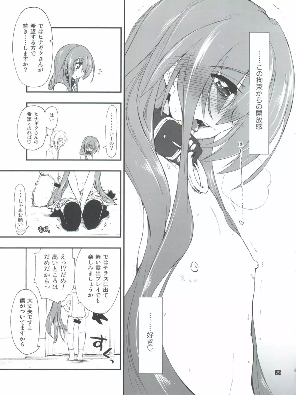 ヒナとハヤテ 2 - page29