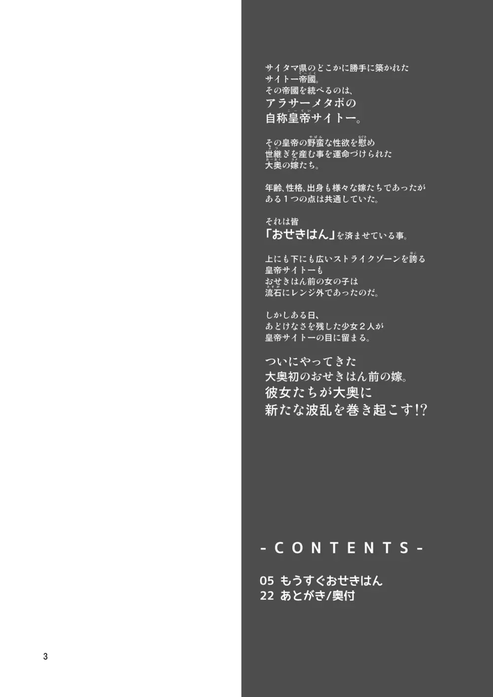 (C90) [齋藤帝國 (齋藤山城守之彦)] サイトーさんちの小奥!すぺしゃる(3) もうすぐおせきはん - page3