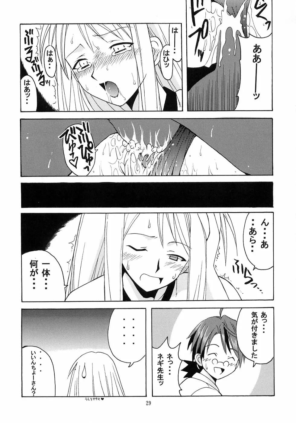 ネギ先生と賢者のブルマ - page28