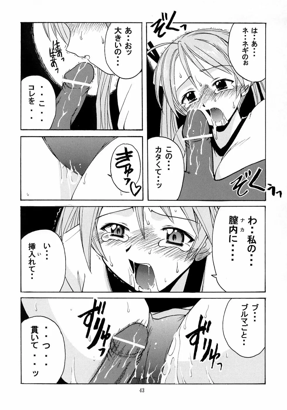 ネギ先生と賢者のブルマ - page42