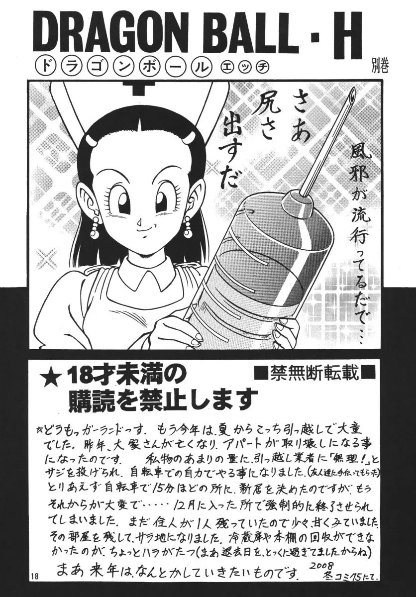 ドラゴンボールH 別巻 - page17