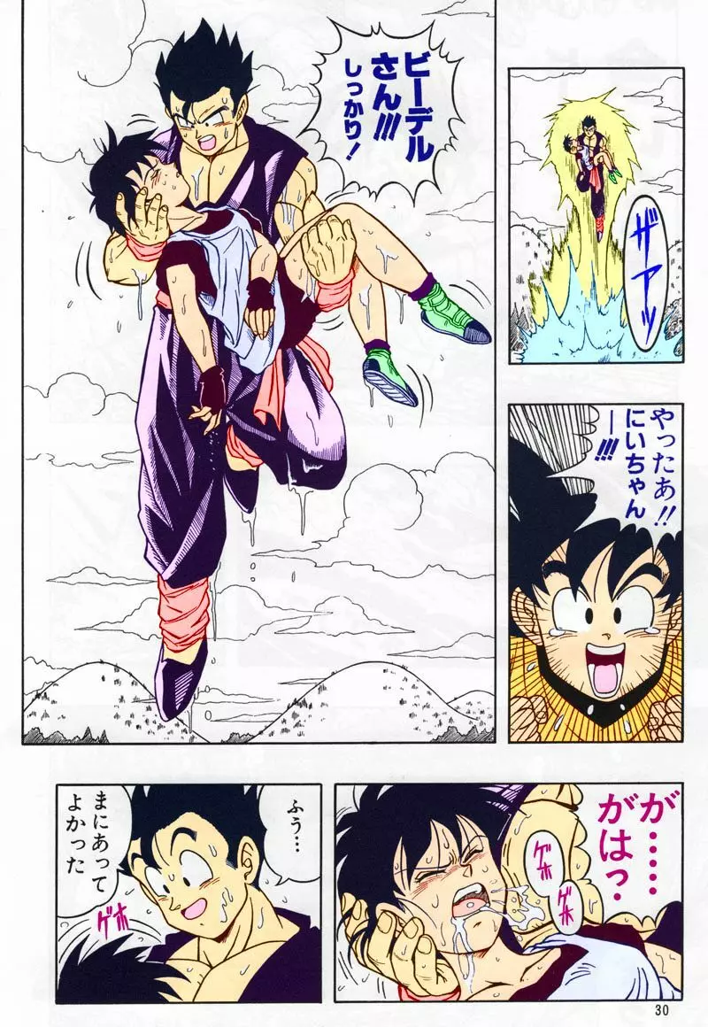 ドラゴンボール H 総集編 - page29