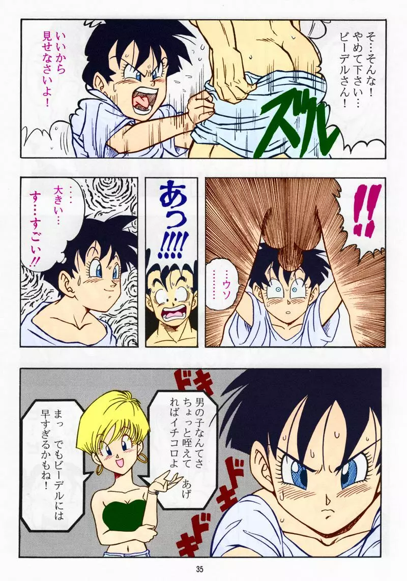 ドラゴンボール H 総集編 - page34