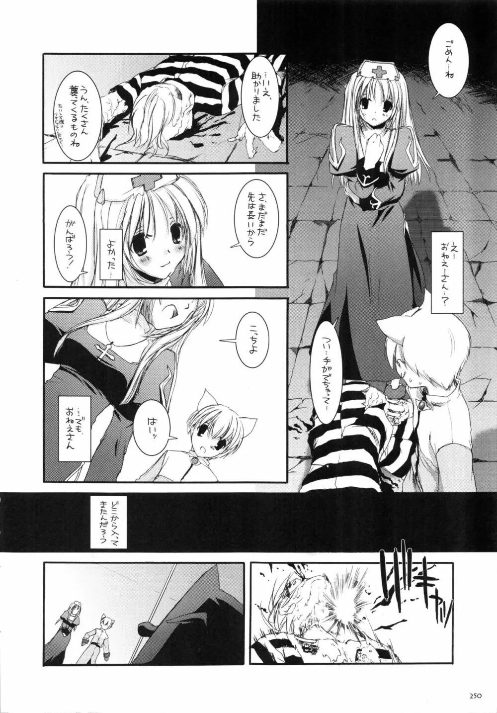 DL-RO総集編01 - page249