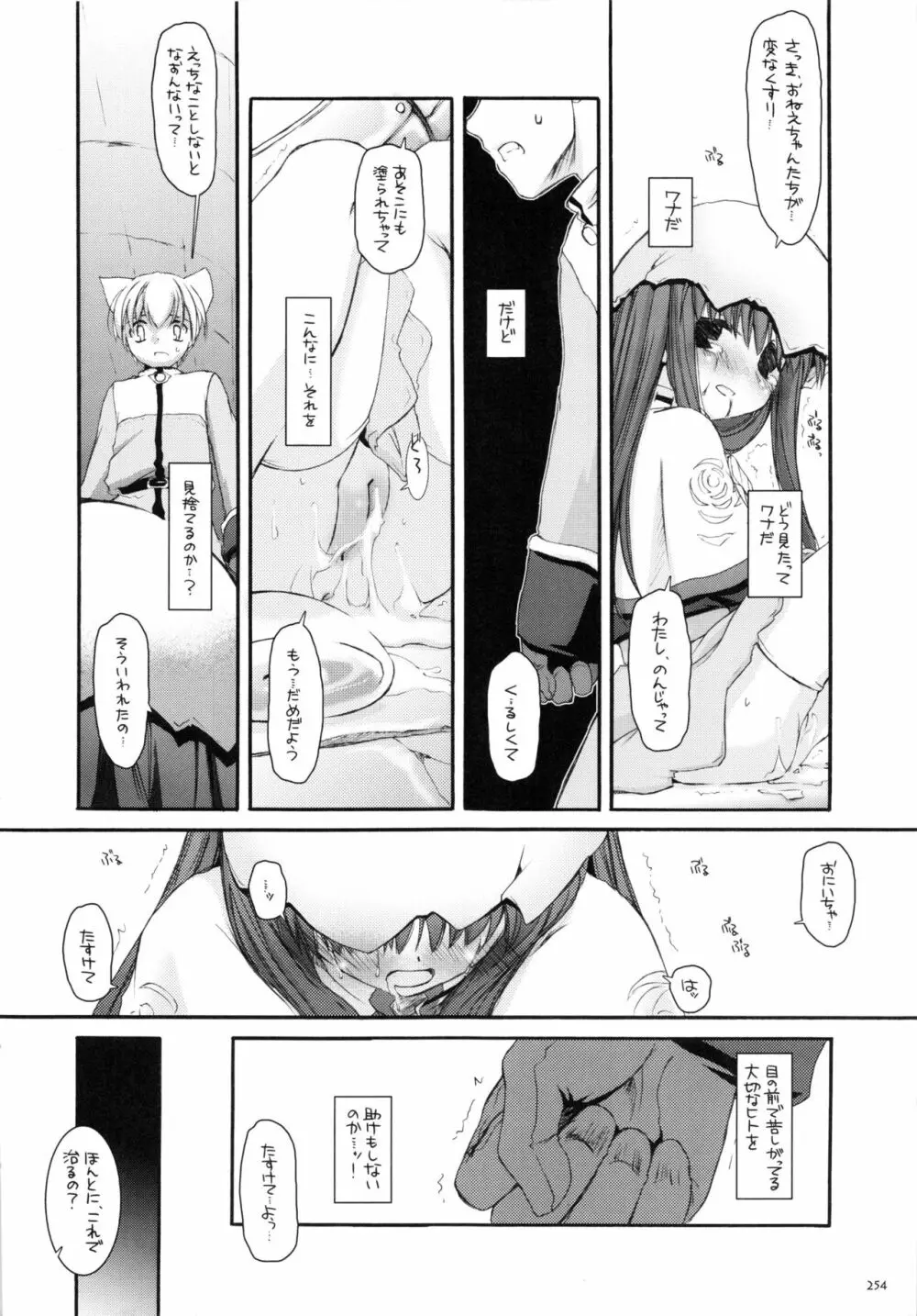 DL-RO総集編01 - page253