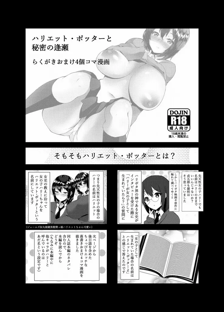 ハリエット・ポッターと秘密の逢瀬 - page22