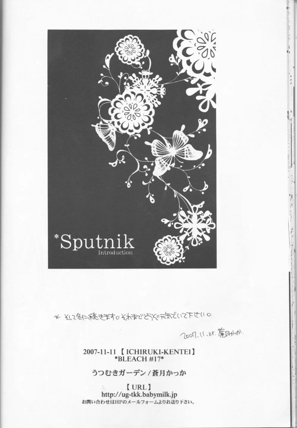 Sputnik Introduction - page22