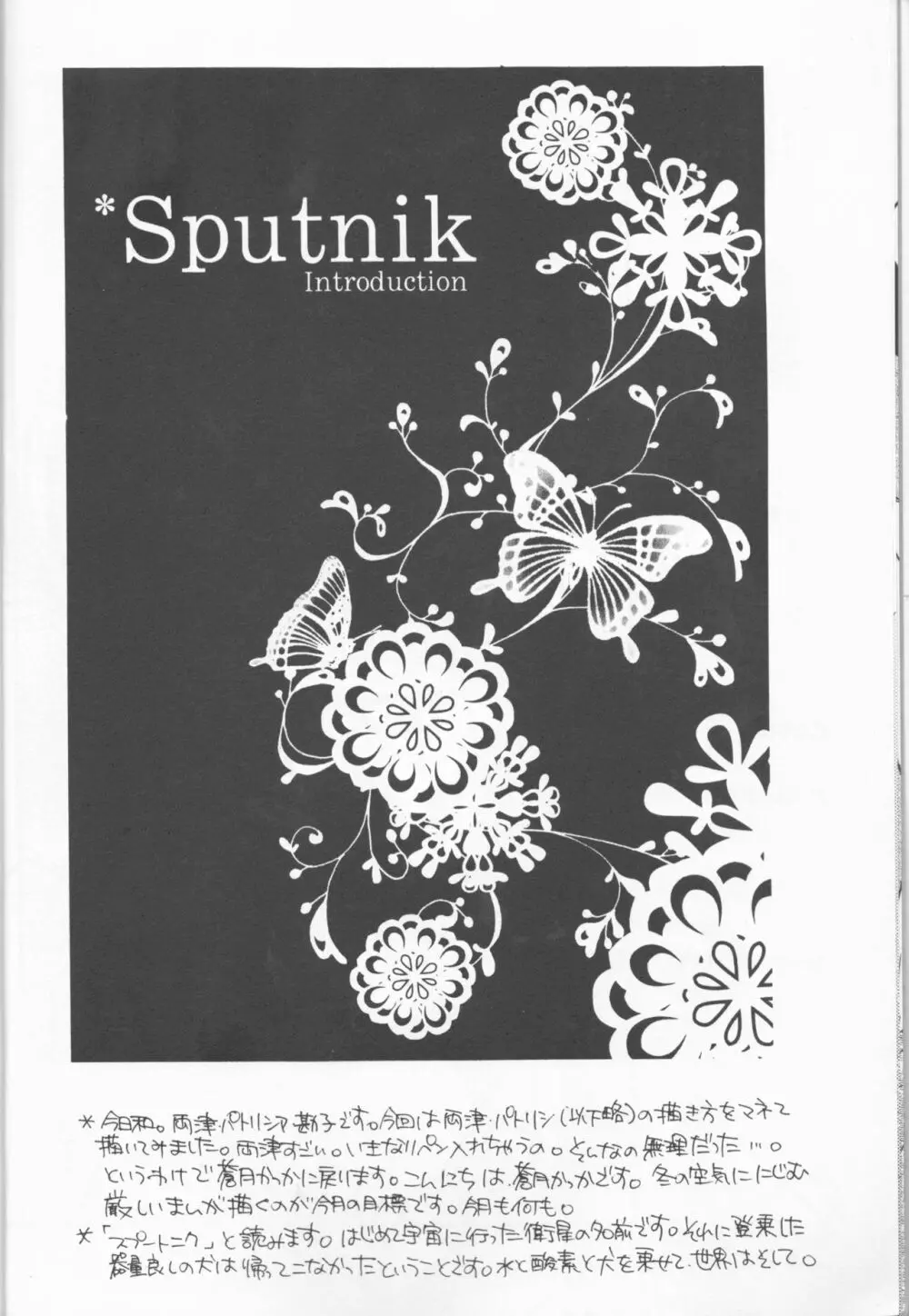 Sputnik Introduction - page8