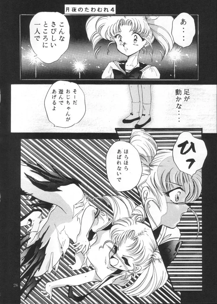 月夜のたわむれ Vol.4 - page26