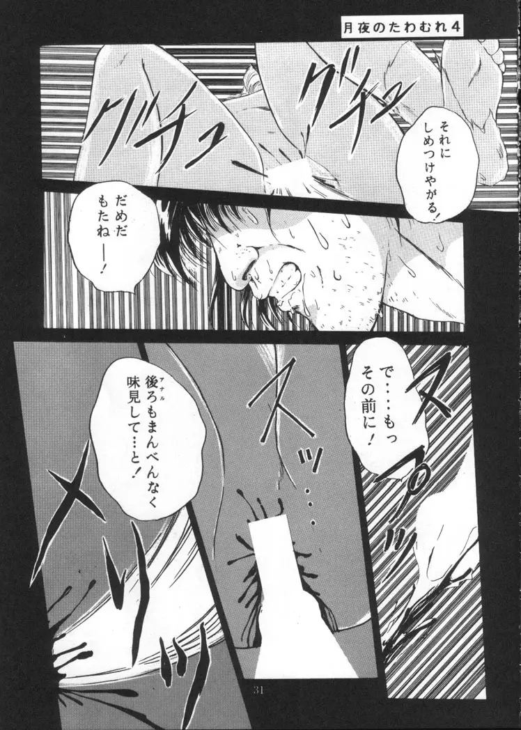 月夜のたわむれ Vol.4 - page29