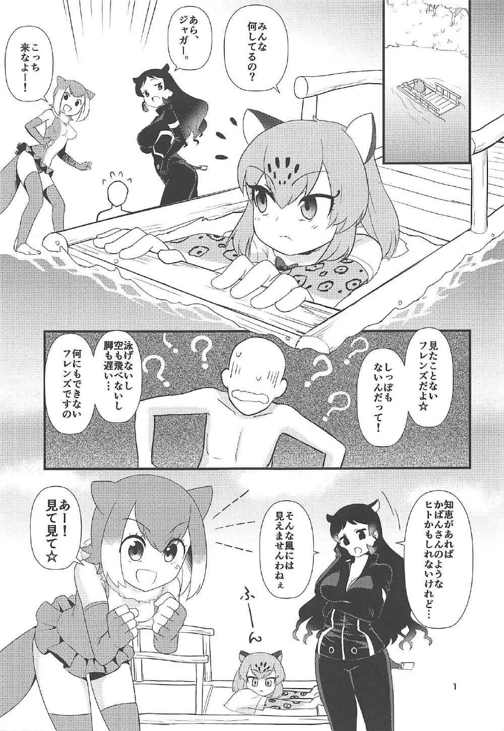 オスのフレンズ!? - page2