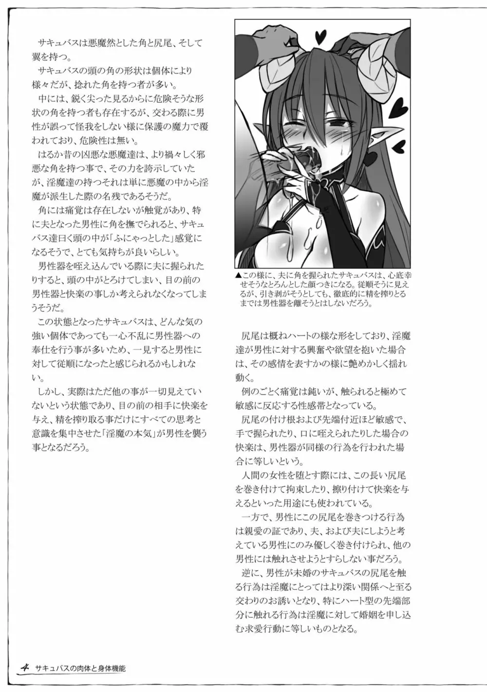 魔物娘図鑑 調査記録 サキュバス・ノート - page5