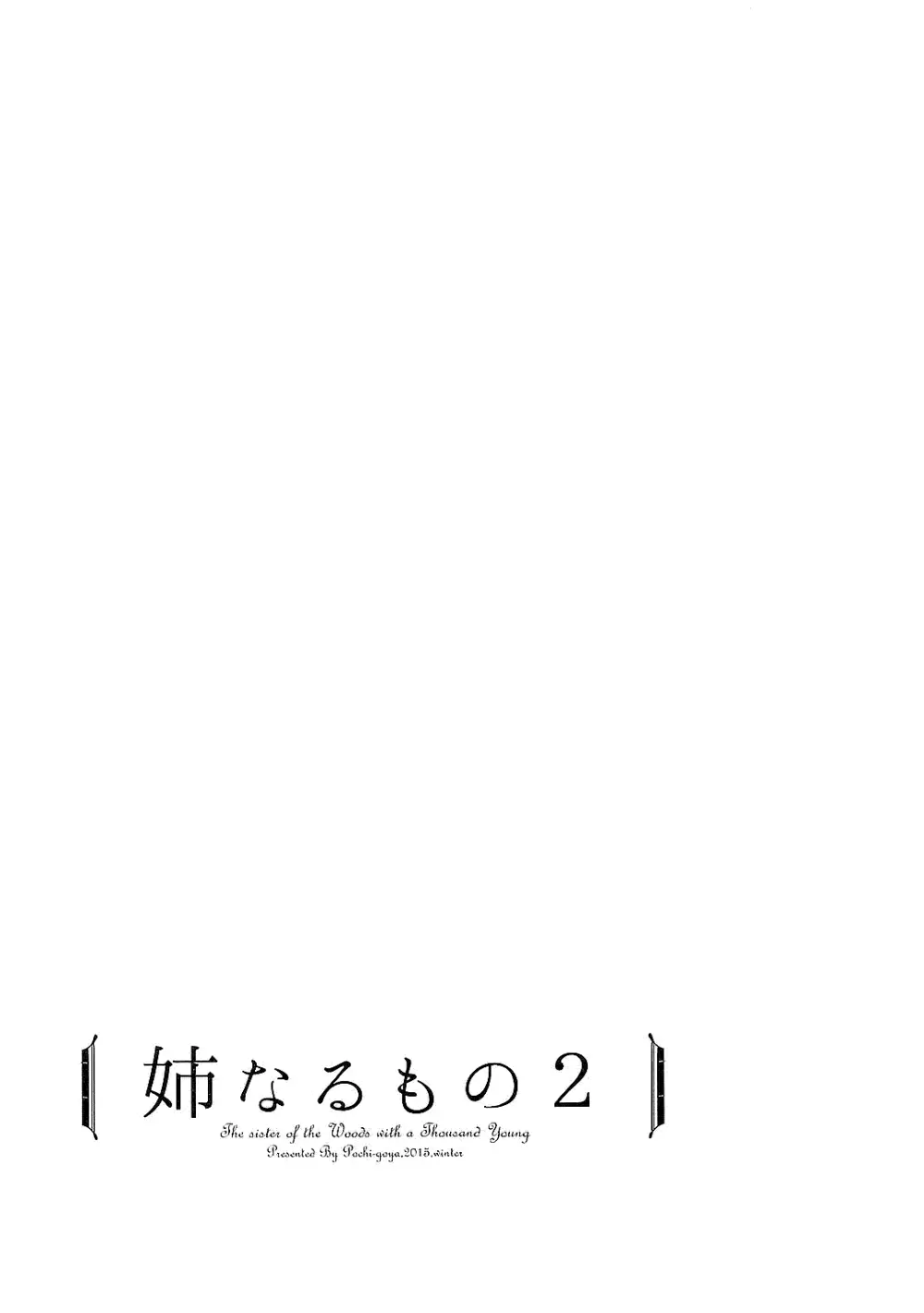 姉なるもの全集1 - page29