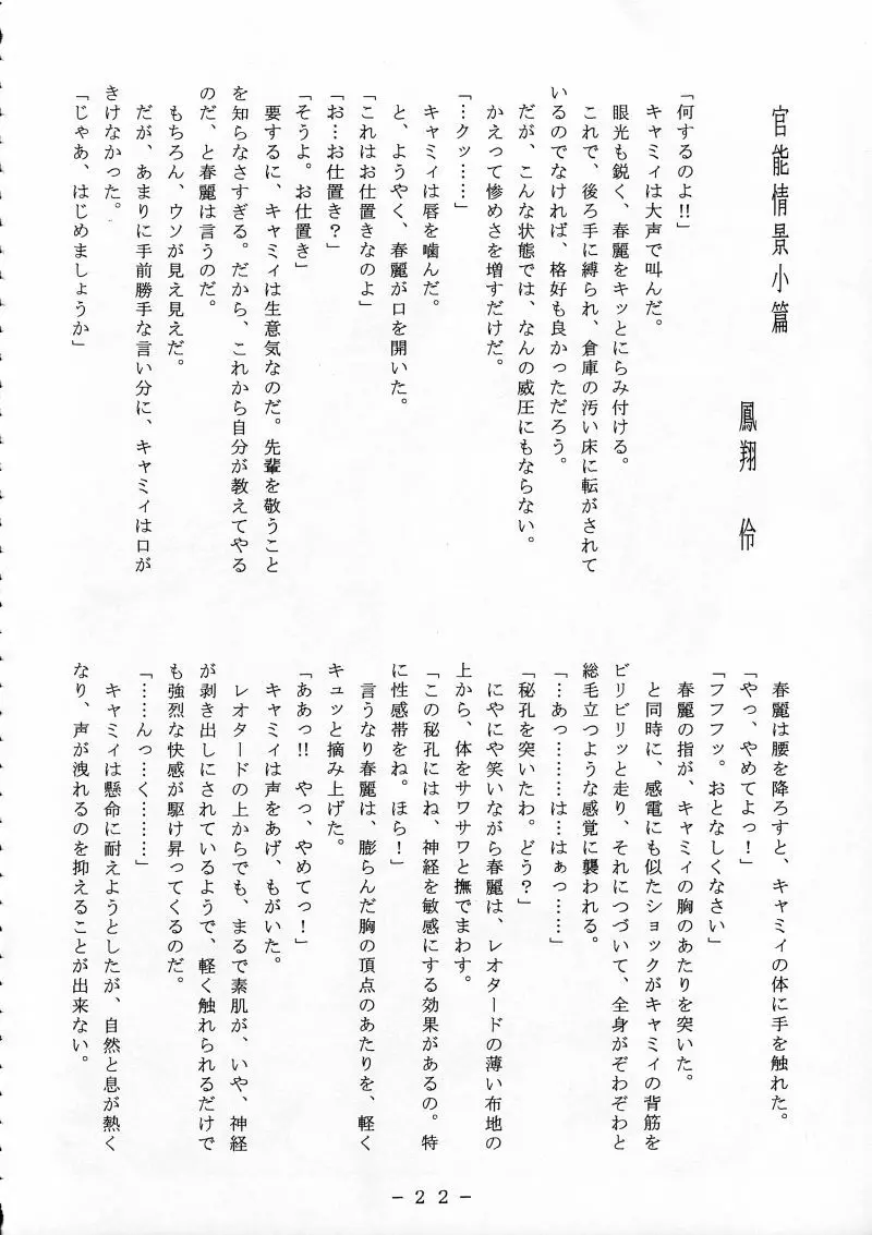 キャミィ少佐官能写真集 - page21