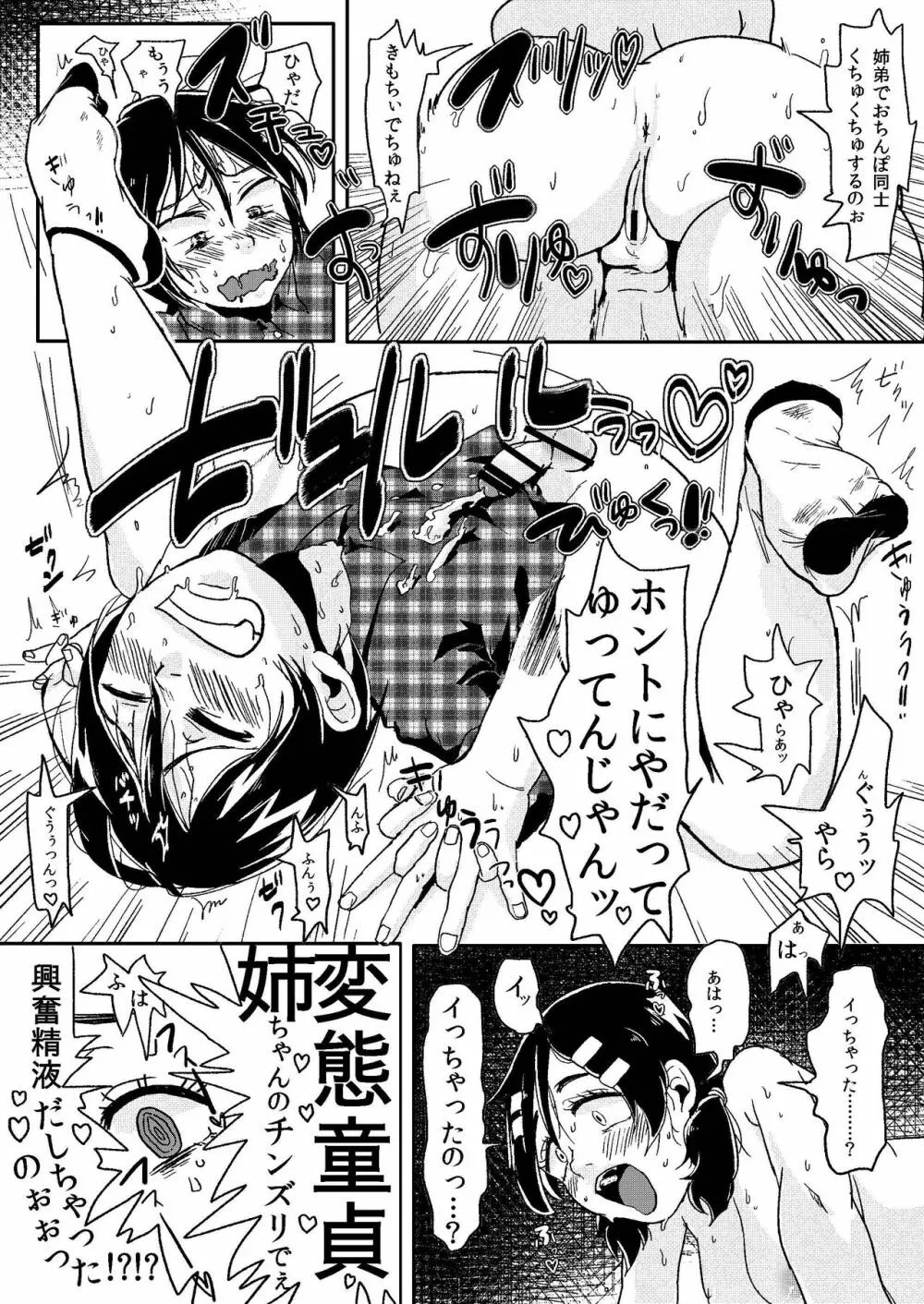 童貞愚姉、ち●ぽを以て弟を制す。 - page11