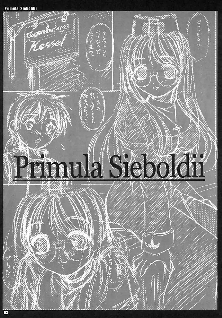 Primula Sieboldii - page2