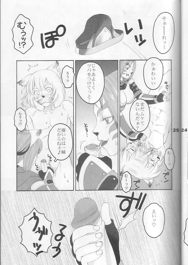 ミスラを愛でる本3+1 - page25