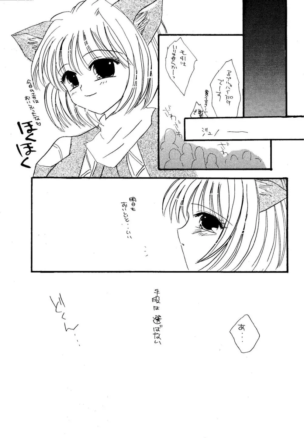 ミスラ風山の幸串焼 - page13