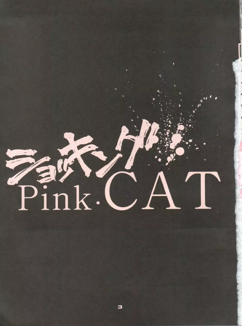 ショッキングPINK・CAT - page2