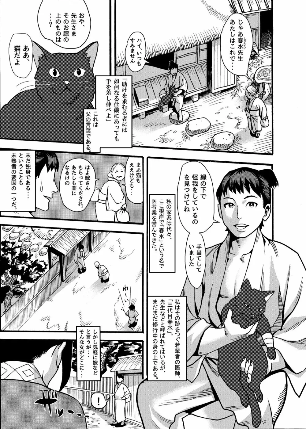 迷い猫～くのいちナガレ忍法帖～ - page2