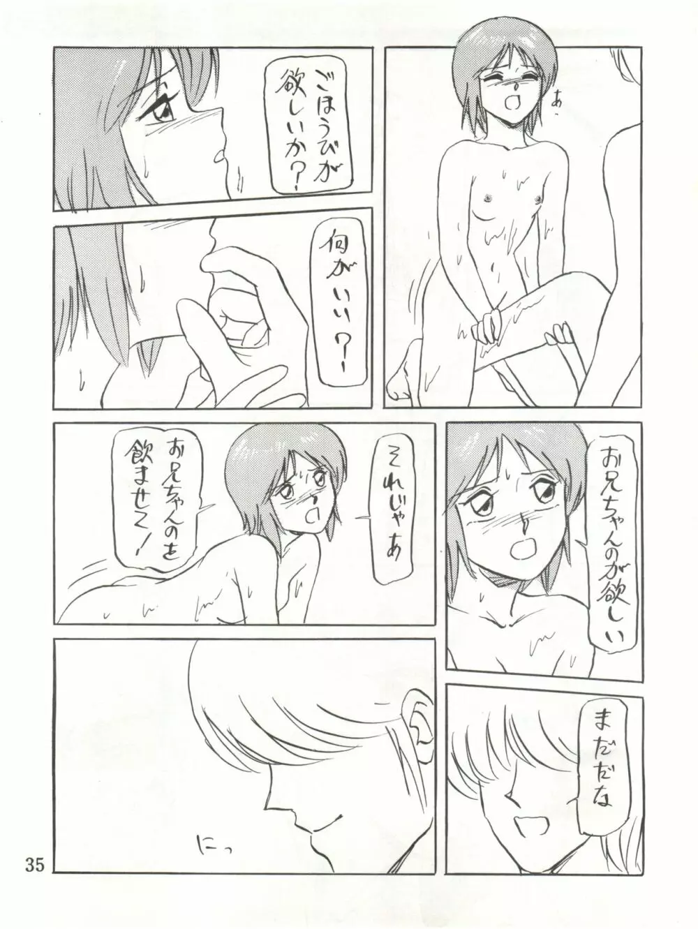 わくわくエルピーらんど PII - page35