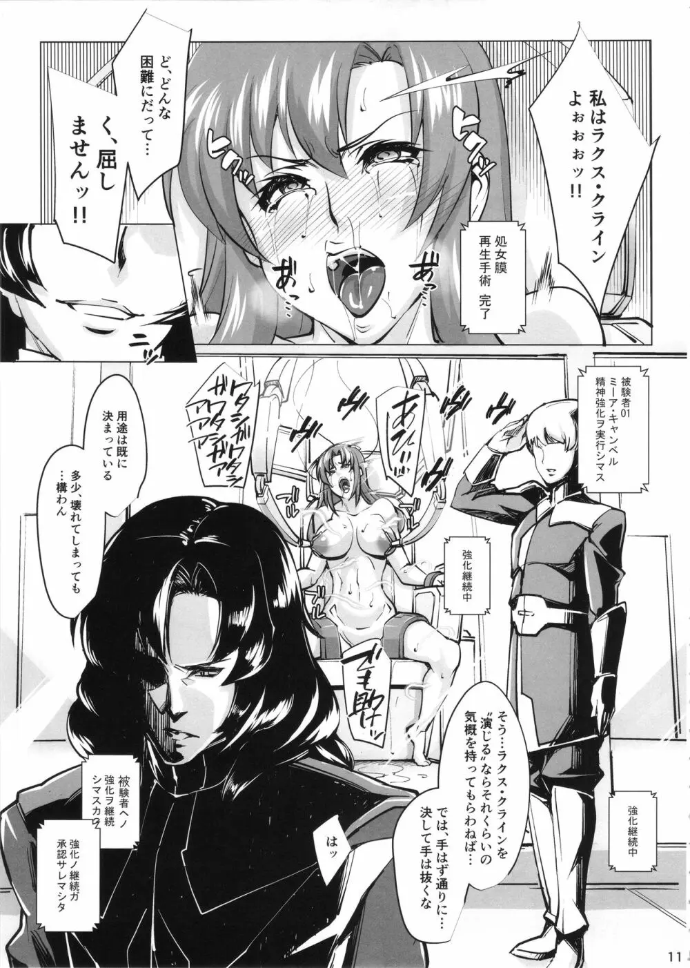 (COMIC1☆11) [ピーナッツランド (オタクミン)] ラクス･クライン(偽)改造計画 (機動戦士ガンダムSEED DESTINY) - page10