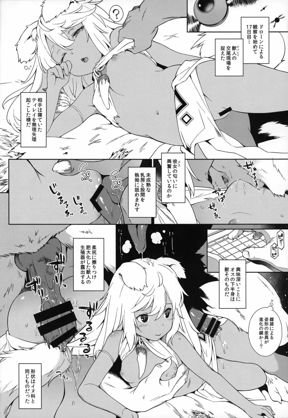 獣人生態観察記録 - page11