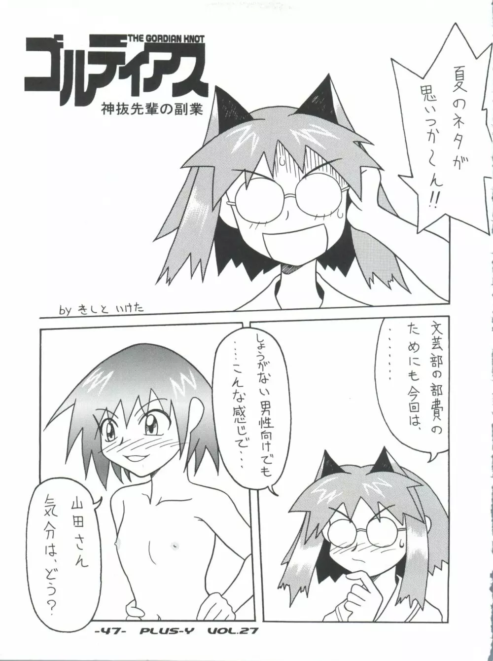 プラスY Vol.27 - page47